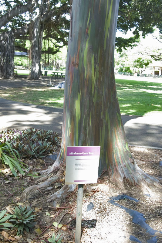 IMGP0735