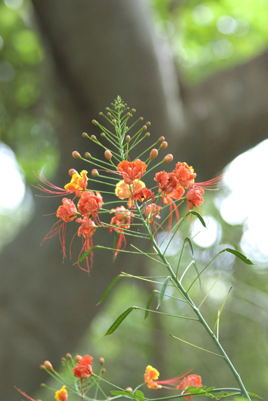 IMGP0754