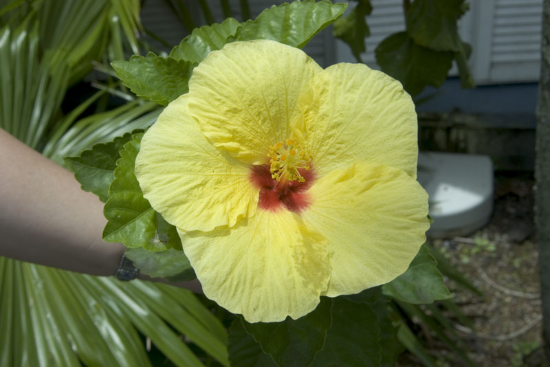 IMGP0998