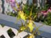 DSCN0249