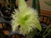 DSCN0250