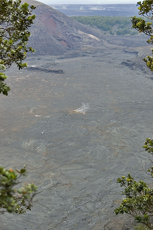 IMGP0942