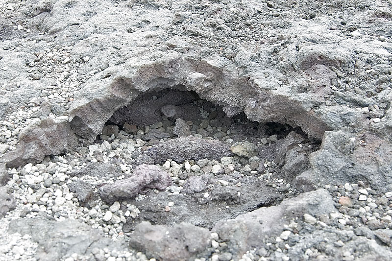 IMGP0961